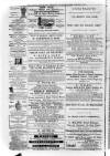 South London Observer Saturday 08 January 1876 Page 8