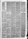 South London Observer Wednesday 19 January 1876 Page 7