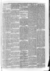 South London Observer Saturday 29 January 1876 Page 5