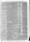 South London Observer Saturday 01 April 1876 Page 5