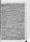 South London Observer Saturday 20 January 1877 Page 5