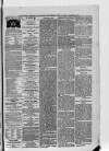 South London Observer Saturday 03 February 1877 Page 3