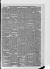 South London Observer Saturday 03 February 1877 Page 7