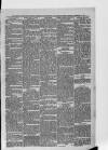 South London Observer Saturday 10 February 1877 Page 9