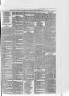 South London Observer Wednesday 28 March 1877 Page 7