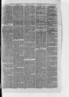 South London Observer Wednesday 10 April 1878 Page 5