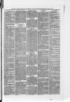 South London Observer Wednesday 14 January 1880 Page 5