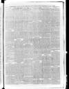 South London Observer Wednesday 31 March 1880 Page 6