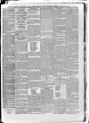 South London Observer Saturday 15 May 1880 Page 5