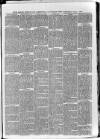 South London Observer Wednesday 07 July 1880 Page 3