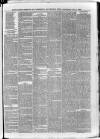 South London Observer Wednesday 07 July 1880 Page 7