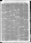 South London Observer Wednesday 14 July 1880 Page 3