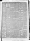 South London Observer Saturday 24 July 1880 Page 5