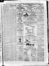 South London Observer Saturday 24 July 1880 Page 7