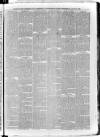 South London Observer Wednesday 28 July 1880 Page 3