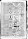 South London Observer Saturday 31 July 1880 Page 7