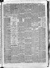 South London Observer Saturday 28 August 1880 Page 5