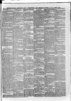 South London Observer Saturday 23 October 1880 Page 3