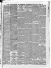 South London Observer Saturday 30 October 1880 Page 5