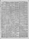 South London Observer Wednesday 01 October 1884 Page 7