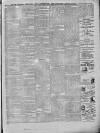 South London Observer Saturday 21 February 1885 Page 3