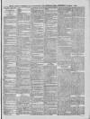 South London Observer Wednesday 03 March 1886 Page 7
