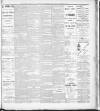South London Observer Saturday 11 November 1893 Page 3