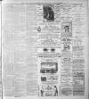 South London Observer Wednesday 14 November 1894 Page 3