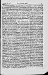 Building News Friday 29 January 1875 Page 11