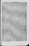 Building News Friday 29 January 1875 Page 29