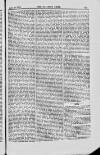 Building News Friday 25 June 1875 Page 19