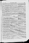 Building News Friday 11 June 1880 Page 33