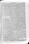 Building News Friday 23 November 1883 Page 33