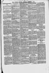 Croydon Express Saturday 07 December 1878 Page 3