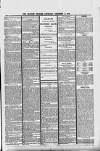 Croydon Express Saturday 14 December 1878 Page 3