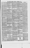 Croydon Express Saturday 21 December 1878 Page 3