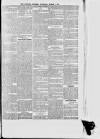 Croydon Express Saturday 01 March 1879 Page 3