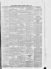 Croydon Express Saturday 22 March 1879 Page 3