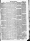 Wiltshire Telegraph Saturday 01 February 1879 Page 3