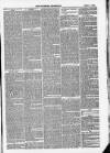Wiltshire Telegraph Saturday 05 April 1879 Page 3
