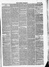 Wiltshire Telegraph Saturday 24 May 1879 Page 3