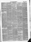Wiltshire Telegraph Saturday 21 June 1879 Page 3