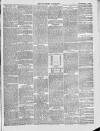 Wiltshire Telegraph Saturday 02 November 1889 Page 3