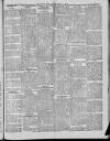 Western Echo Saturday 02 March 1901 Page 3