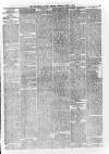 Wiltshire County Mirror Tuesday 01 June 1875 Page 3