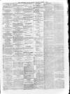 Wiltshire County Mirror Tuesday 05 October 1875 Page 5