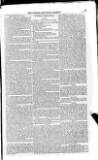 Church & State Gazette (London) Friday 02 November 1849 Page 13