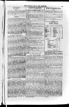 Church & State Gazette (London) Friday 11 January 1850 Page 3
