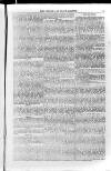 Church & State Gazette (London) Friday 15 February 1850 Page 13