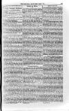 Church & State Gazette (London) Friday 02 August 1850 Page 13